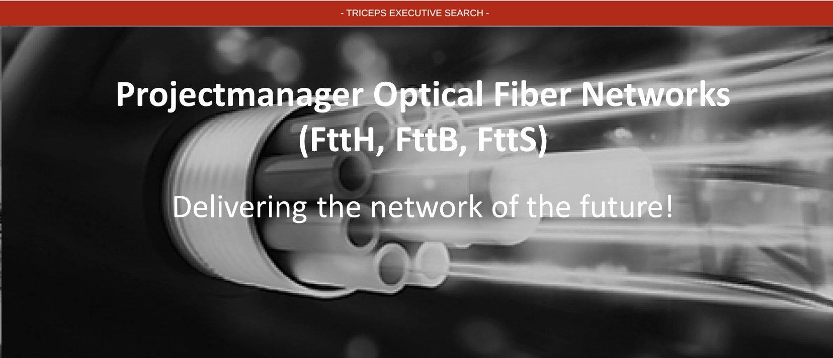 Vacature Projectmanager Optical Fiber Networks Triceps
