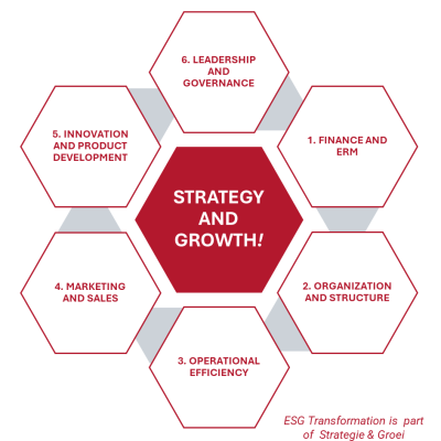 CoD Steps Strategy 2 Efficiency 2 Governance