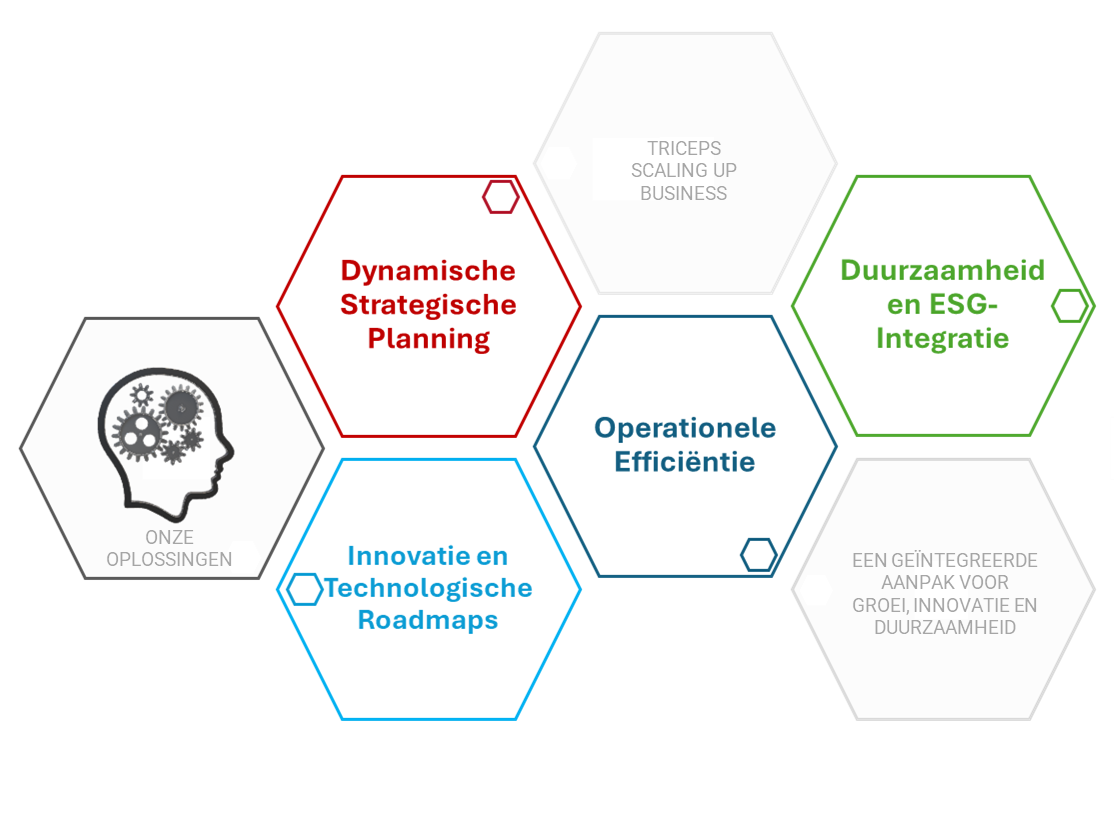 Met tools zoals Team Strategic Programs, Business Balanced Scorecards en Unique Value Propositions leggen we de basis voor schaalbare bedrijfsmodellen die gericht zijn op groei en impact. Van dynamische strategische roadmaps en klantgerichte innovatietrajecten tot flexibele supply chains en ESG-integratie: wij brengen focus en flexibiliteit samen om uw organisatie klaar te maken voor de uitdagingen van morgen.