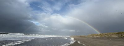 NOMconnect NOMconnect