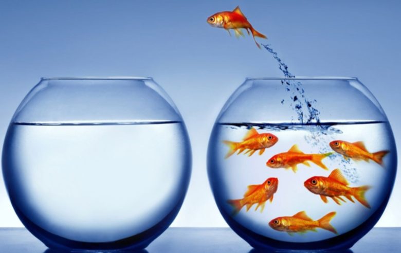 Strategische reality check Technologiegeschiedenis leert ons dat disruptie zelden alleen om efficiëntie gaat. De introductie van de stoommachine was niet slechts een productiviteitsstap, maar een herdefinitie van arbeid, organisatie en zelfs maatschappij. Hetzelfde geldt nu voor AI. Het is niet slechts een tool, maar een strategische reality check.